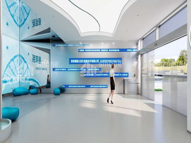 什么是VMware文化